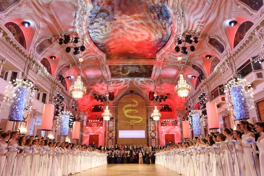 Wiener Kaffeesiederball (2)